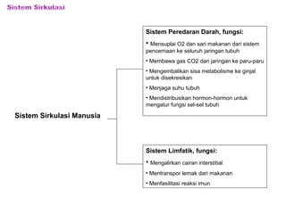 Sistem Sirkulasi Manusia 
Sistem Peredaran Darah, fungsi: 
• Mensuplai O2 dan sari makanan dari sistem 
pencernaan ke seluruh jaringan tubuh 
• Membawa gas CO2 dari jaringan ke paru-paru 
• Mengembalikan sisa metabolisme ke ginjal 
untuk disekresikan 
• Menjaga suhu tubuh 
• Mendistribusikan hormon-hormon untuk 
mengatur fungsi sel-sel tubuh 
Sistem Limfatik, fungsi: 
• Mengalirkan cairan interstitial 
• Mentranspor lemak dari makanan 
• Menfasilitasi reaksi imun 
 