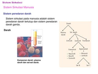 Sistem Sirkulasi Manusia 
Sistem peredaran darah 
Sistem sirkulasi pada manusia adalah sistem 
peredaran darah tertutup dan sistem peredaran 
darah ganda. 
Darah 
Komponen darah: plasma 
darah dan sel-sel darah. 
 