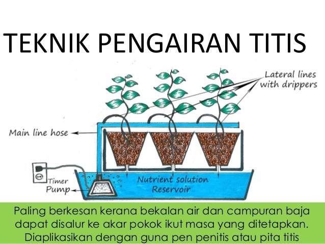 Fertigasi Wikipedia Bahasa Melayu Ensiklopedia Bebas