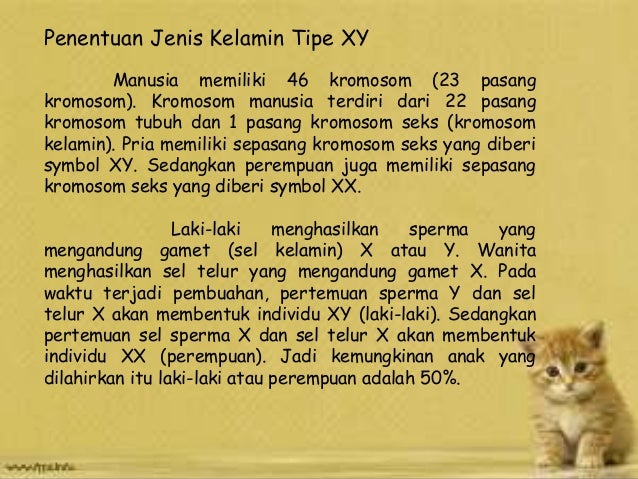 Bab 5 hereditas manusia Kelas 3 SMA Bab 5 hereditas manusia Kelas 3 SMA