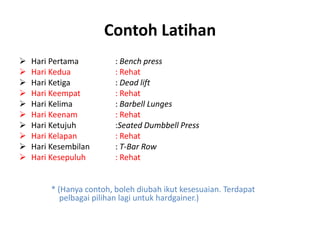 Contoh Latihan
   Hari Pertama          : Bench press
   Hari Kedua            : Rehat
   Hari Ketiga           : Dead lift
   Hari Keempat          : Rehat
   Hari Kelima           : Barbell Lunges
   Hari Keenam           : Rehat
   Hari Ketujuh          :Seated Dumbbell Press
   Hari Kelapan          : Rehat
   Hari Kesembilan       : T-Bar Row
   Hari Kesepuluh        : Rehat


         * (Hanya contoh, boleh diubah ikut kesesuaian. Terdapat
            pelbagai pilihan lagi untuk hardgainer.)
 
