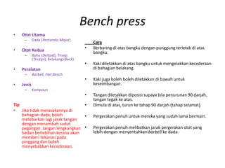 Bench press
•   Otot Utama
     –      Dada (Pectoralis Major)
                                             Cara
•   Otot Kedua                           •   Berbaring di atas bangku dengan punggung terletak di atas
                                             bangku.
     –      Bahu (Deltoid), Trisep
            (Triceps), Belakang (Back)
                                         •   Kaki diletakkan di atas bangku untuk mengelakkan kecederaan
•   Peralatan                                di bahagian belakang.
     –      Barbell, Flat Bench
                                         •   Kaki juga boleh boleh diletakkan di bawah untuk
•   Jenis                                    keseimbangan.
     –      Kompoun
                                         •   Tangan diletakkan diposisi supaya bila penurunan 90 darjah,
                                             tangan tegak ke atas.
Tip                              •           Dimula di atas, turun ke tahap 90 darjah (tahap selamat).
• Jika tidak merasakannya di
    bahagian dada, boleh         •           Pergerakan penuh untuk mereka yang sudah lama bermain.
    melebarkan lagi jarak tangan
    dengan menambah sudut
    pegangan. Jangan lengkungkan •           Pergerakan penuh melibatkan jarak pergerakan otot yang
    badan berlebihan kerana akan             lebih dengan menyentuhkan barbell ke dada.
    memberi tekanan pada
    pinggang dan boleh
    menyebabkan kecederaan.
 