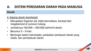 4. Keping darah (trombosit)
• Merupakan fragmen sel, tidak bernukleus, berasal dari
megakariosit di sumsum tulang.
• Jumlahnya 150.000 – 400.000 sel/mm3 darah.
• Berumur 5 – 9 hari.
• Berfungsi dalam hemostatis, perbaikan pembuluh darah yang
robek, dan pembekuan darah.
A. SISTEM PEREDARAN DARAH PADA MANUSIA
Darah
 
