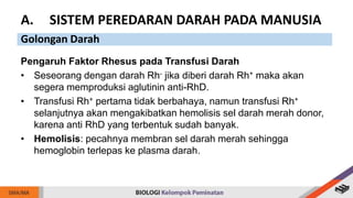 Pengaruh Faktor Rhesus pada Transfusi Darah
• Seseorang dengan darah Rh- jika diberi darah Rh+ maka akan
segera memproduksi aglutinin anti-RhD.
• Transfusi Rh+ pertama tidak berbahaya, namun transfusi Rh+
selanjutnya akan mengakibatkan hemolisis sel darah merah donor,
karena anti RhD yang terbentuk sudah banyak.
• Hemolisis: pecahnya membran sel darah merah sehingga
hemoglobin terlepas ke plasma darah.
A. SISTEM PEREDARAN DARAH PADA MANUSIA
Golongan Darah
 