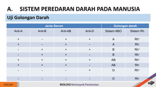 Jenis Serum Golongan darah
Anti-A Anti-B Anti-AB Anti-D Sistem ABO Sistem Rh
+ - + + A Rh+
+ - + - A Rh-
- + + + B Rh+
- + + - B Rh-
+ + + + AB Rh+
+ + + - AB Rh-
- - - + O Rh+
- - - - O Rh-
A. SISTEM PEREDARAN DARAH PADA MANUSIA
Uji Golongan Darah
 