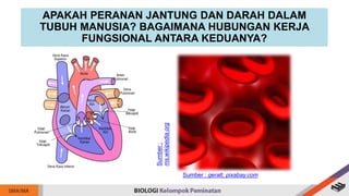 APAKAH PERANAN JANTUNG DAN DARAH DALAM
TUBUH MANUSIA? BAGAIMANA HUBUNGAN KERJA
FUNGSIONAL ANTARA KEDUANYA?
Sumber
:
ms.wikipedia.org
Sumber : geralt, pixabay.com
 