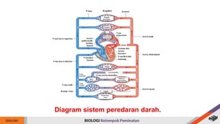 Diagram sistem peredaran darah.
 