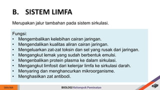 Merupakan jalur tambahan pada sistem sirkulasi.
Fungsi:
• Mengembalikan kelebihan cairan jaringan.
• Mengendalikan kualitas aliran cairan jaringan.
• Mengeluarkan zat-zat toksin dan sel yang rusak dari jaringan.
• Mengangkut lemak yang sudah berbentuk emulsi.
• Mengenbalikan protein plasma ke dalam sirkulasi.
• Mengangkut limfosit dari kelenjar limfa ke sirkulasi darah.
• Menyaring dan menghancurkan mikroorganisme.
• Menghasilkan zat antibodi.
B. SISTEM LIMFA
 