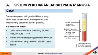 Darah merupakan jaringan ikat khusus yang
terdiri atas sel-sel darah, keping darah, dan
matriks yang berbentuk cairan (plasma).
Karakteristik darah:
• Lebih berat dan kental dibanding air, bau
khas, pH 7,35 – 7,45.
• Warna merah terang hingga merah kebiruan.
• Volume darah yang beredar: 8% dari berat
badan
A. SISTEM PEREDARAN DARAH PADA MANUSIA
Darah
 