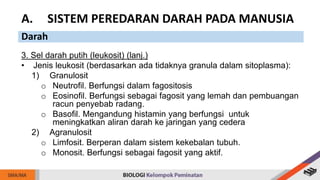 3. Sel darah putih (leukosit) (lanj.)
• Jenis leukosit (berdasarkan ada tidaknya granula dalam sitoplasma):
1) Granulosit
o Neutrofil. Berfungsi dalam fagositosis
o Eosinofil. Berfungsi sebagai fagosit yang lemah dan pembuangan
racun penyebab radang.
o Basofil. Mengandung histamin yang berfungsi untuk
meningkatkan aliran darah ke jaringan yang cedera
2) Agranulosit
o Limfosit. Berperan dalam sistem kekebalan tubuh.
o Monosit. Berfungsi sebagai fagosit yang aktif.
A. SISTEM PEREDARAN DARAH PADA MANUSIA
Darah
 