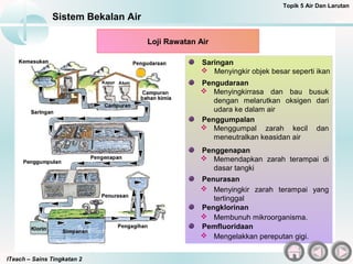 ITeach – Sains Tingkatan 2
Sistem Bekalan Air
Topik 5 Air Dan Larutan
Loji Rawatan Air
Saringan
 Menyingkir objek besar seperti ikan
Pengudaraan
 Menyingkirrasa dan bau busuk
dengan melarutkan oksigen dari
udara ke dalam air
Penggumpalan
 Menggumpal zarah kecil dan
meneutralkan keasidan air
Penggenapan
 Memendapkan zarah terampai di
dasar tangki
Penurasan
Pengklorinan
 Menyingkir zarah terampai yang
tertinggal
 Membunuh mikroorganisma.
Pemfluoridaan
 Mengelakkan pereputan gigi.
 