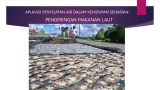 APLIKASI PENYEJATAN AIR DALAM KEHIDUPAN SEHARIAN
PENGERINGAN MAKANAN LAUT
 