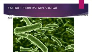 KAEDAH PEMBERSIHAN SUNGAI
MENGGUNAKAN KAEDAH BIOPENYEMBUHAN UNTUK
MEMBERSIHKAN MINYAK DAN SISA ORGANIK DALAM AIR DENGAN
AGEN BIOLOGI
 