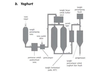 b. Yoghurt
 