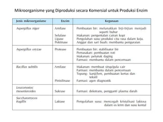 Mikroorganisme yang Diproduksi secara Komersial untuk Produksi Enzim
 