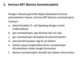 2. Hormon BST (Bovine Somatotrophin)
Dengan rekayasa genetika dapat diproduksi hormon
pertumbuhan hewan, hormon BST (bovine somatotropin).
Caranya :
a. plasmid bakteri E. coli dipotong dengan enzim
endonuklease
b. gen somatotropin sapi diisolasi dari sel sapi
c. gen somatotropin disisipkan ke plasmid bakteri
d. plasmid dimasukkan lagi ke sel bakteri
e. bakteri yang menghasilkan bovin somatotropin
ditumbuhkan dalam tangki fermentasi
f. Bovine somatotrophin diambil dari bakteri dimurnikan.
 
