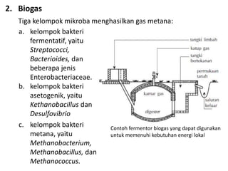 2. Biogas
a. kelompok bakteri
fermentatif, yaitu
Streptococci,
Bacterioides, dan
beberapa jenis
Enterobacteriaceae.
b. kelompok bakteri
asetogenik, yaitu
Kethanobacillus dan
Desulfovibrio
c. kelompok bakteri
metana, yaitu
Methanobacterium,
Methanobacillus, dan
Methanococcus.
Tiga kelompok mikroba menghasilkan gas metana:
Contoh fermentor biogas yang dapat digunakan
untuk memenuhi kebutuhan energi lokal
 