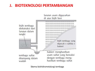 J. BIOTEKNOLOGI PERTAMBANGAN
Skema biohidrometalurgi tembaga
 