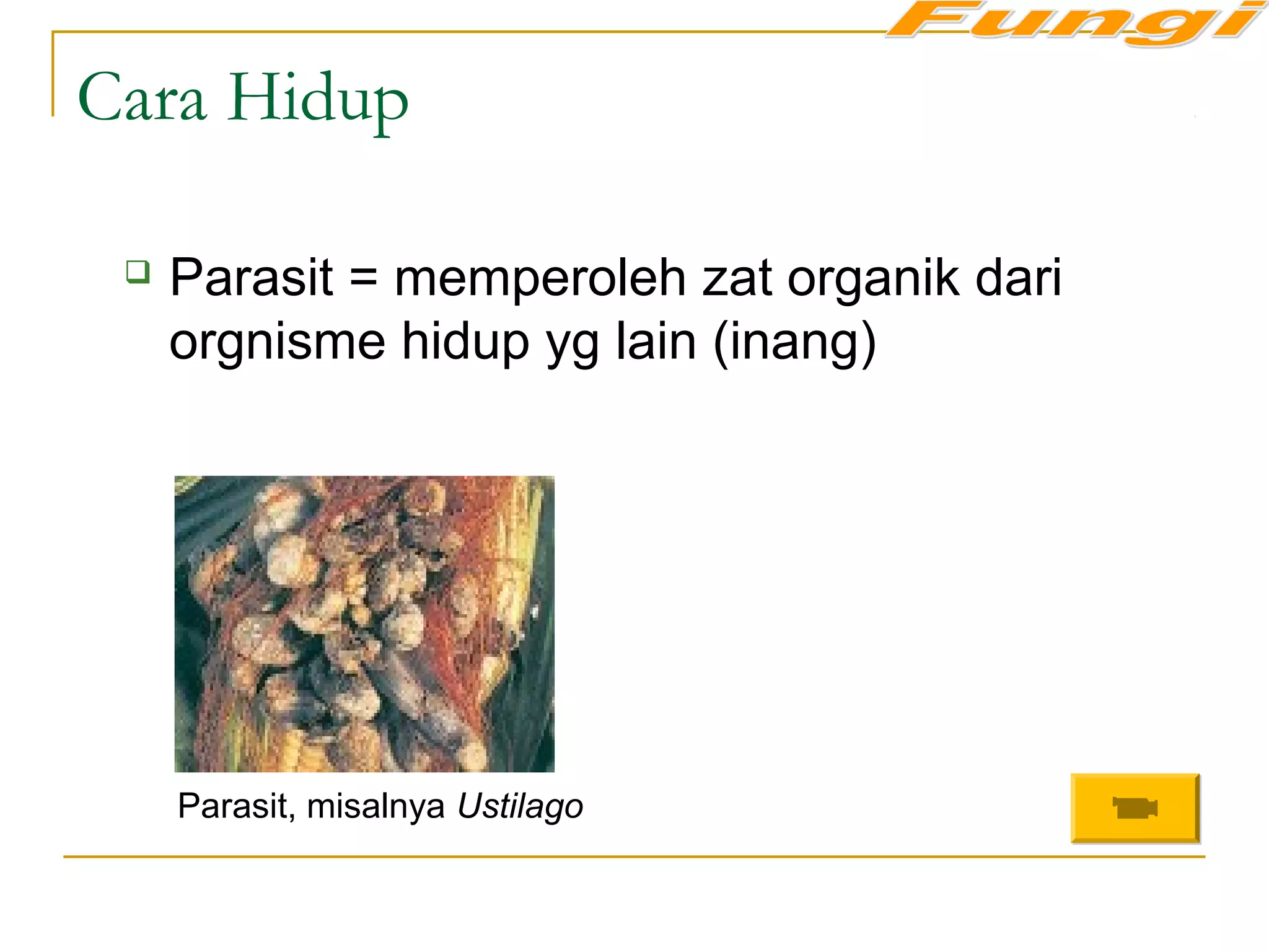 Cara Hidup
 Parasit = memperoleh zat organik dari
orgnisme hidup yg lain (inang)
Parasit, misalnya Ustilago
 
