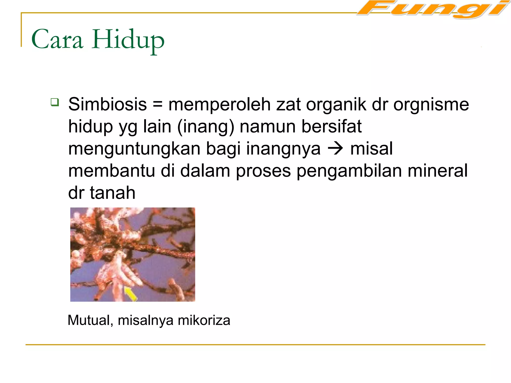 Cara Hidup
 Simbiosis = memperoleh zat organik dr orgnisme
hidup yg lain (inang) namun bersifat
menguntungkan bagi inangnya  misal
membantu di dalam proses pengambilan mineral
dr tanah
Mutual, misalnya mikoriza
 