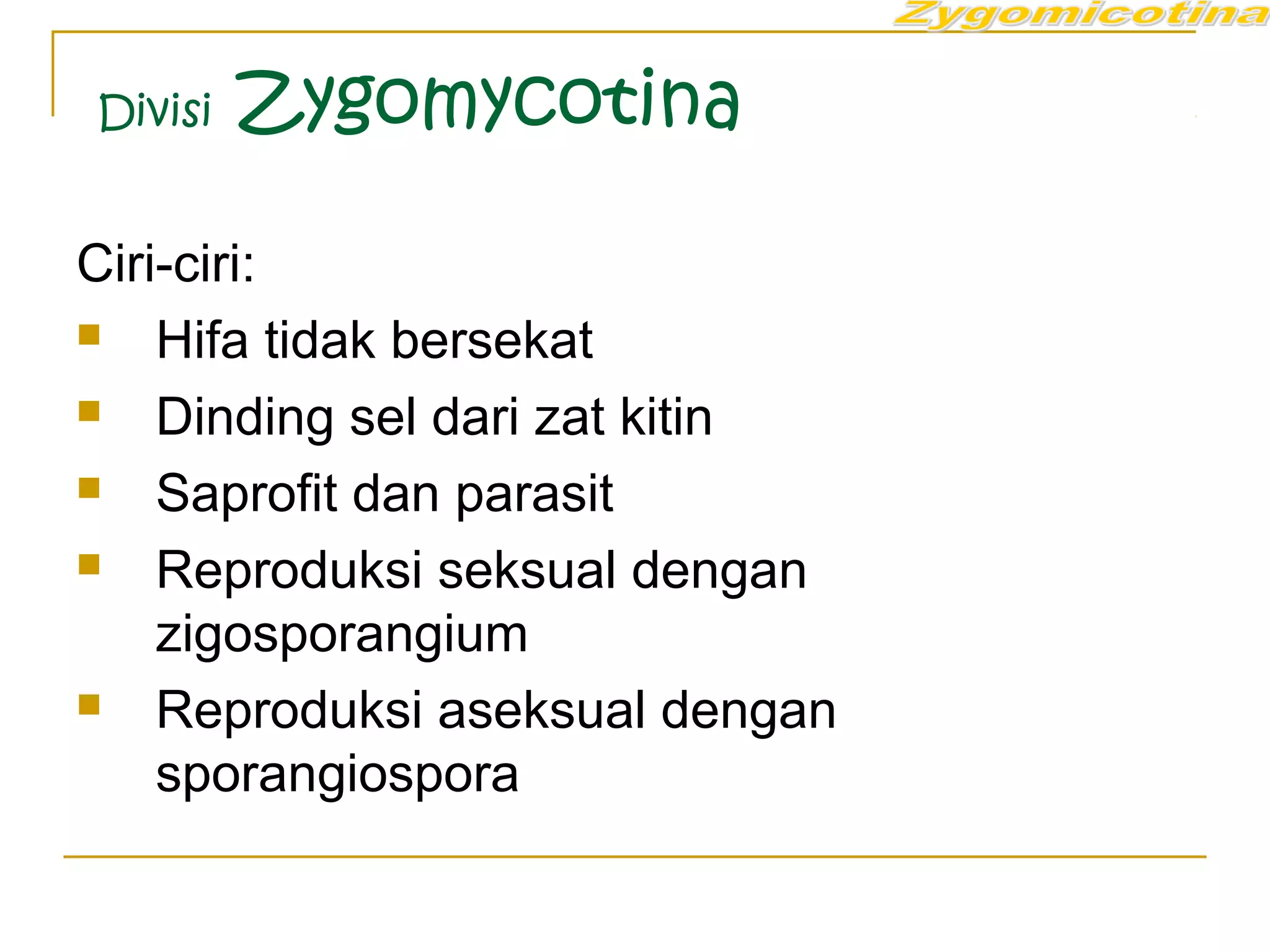 Divisi Zygomycotina
Ciri-ciri:
 Hifa tidak bersekat
 Dinding sel dari zat kitin
 Saprofit dan parasit
 Reproduksi seksual dengan
zigosporangium
 Reproduksi aseksual dengan
sporangiospora
 