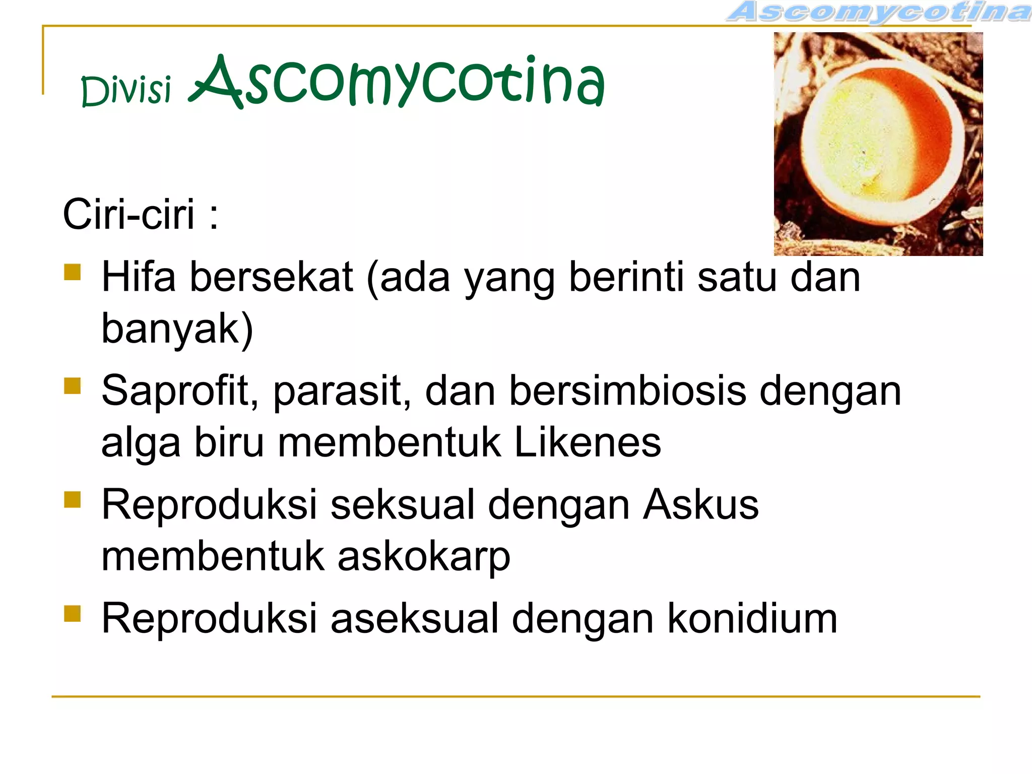 Divisi Ascomycotina
Ciri-ciri :
 Hifa bersekat (ada yang berinti satu dan
banyak)
 Saprofit, parasit, dan bersimbiosis dengan
alga biru membentuk Likenes
 Reproduksi seksual dengan Askus
membentuk askokarp
 Reproduksi aseksual dengan konidium
 