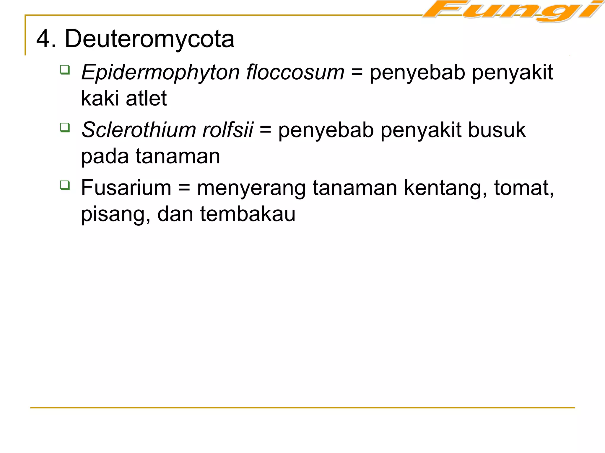 4. Deuteromycota
 Epidermophyton floccosum = penyebab penyakit
kaki atlet
 Sclerothium rolfsii = penyebab penyakit busuk
pada tanaman
 Fusarium = menyerang tanaman kentang, tomat,
pisang, dan tembakau
 