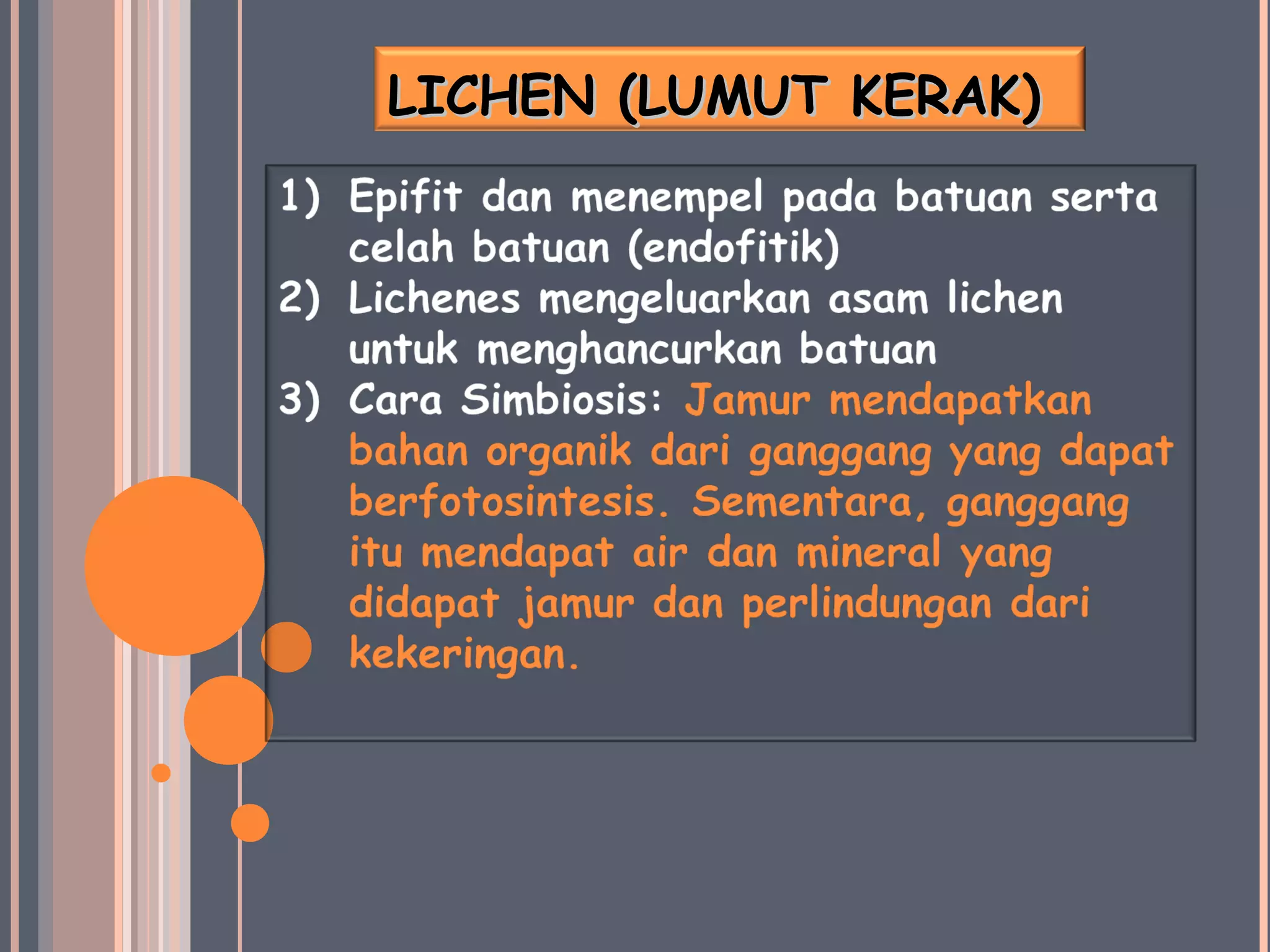 LICHEN (LUMUT KERAK)LICHEN (LUMUT KERAK)
 