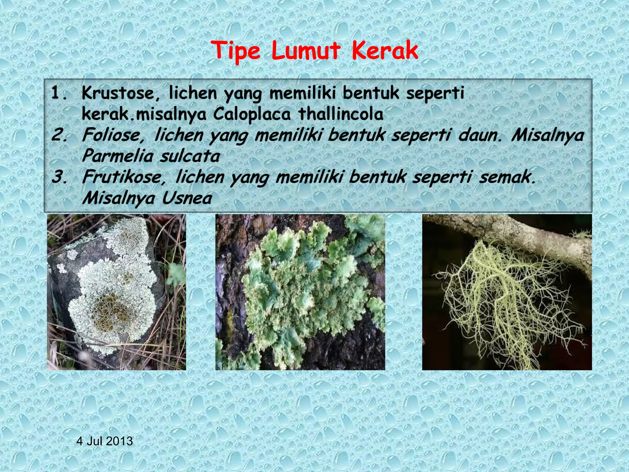 4 Jul 2013
Tipe Lumut Kerak
 