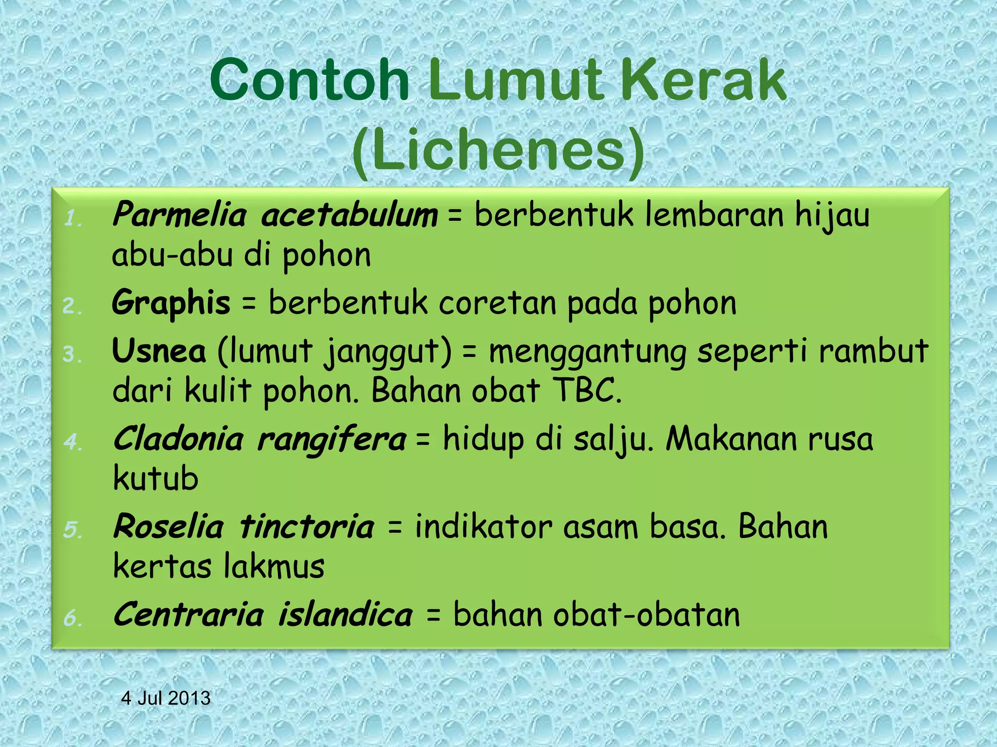 4 Jul 2013
Contoh Lumut Kerak
(Lichenes)
1. Parmelia acetabulum = berbentuk lembaran hijau
abu-abu di pohon
2. Graphis = berbentuk coretan pada pohon
3. Usnea (lumut janggut) = menggantung seperti rambut
dari kulit pohon. Bahan obat TBC.
4. Cladonia rangifera = hidup di salju. Makanan rusa
kutub
5. Roselia tinctoria = indikator asam basa. Bahan
kertas lakmus
6. Centraria islandica = bahan obat-obatan
 