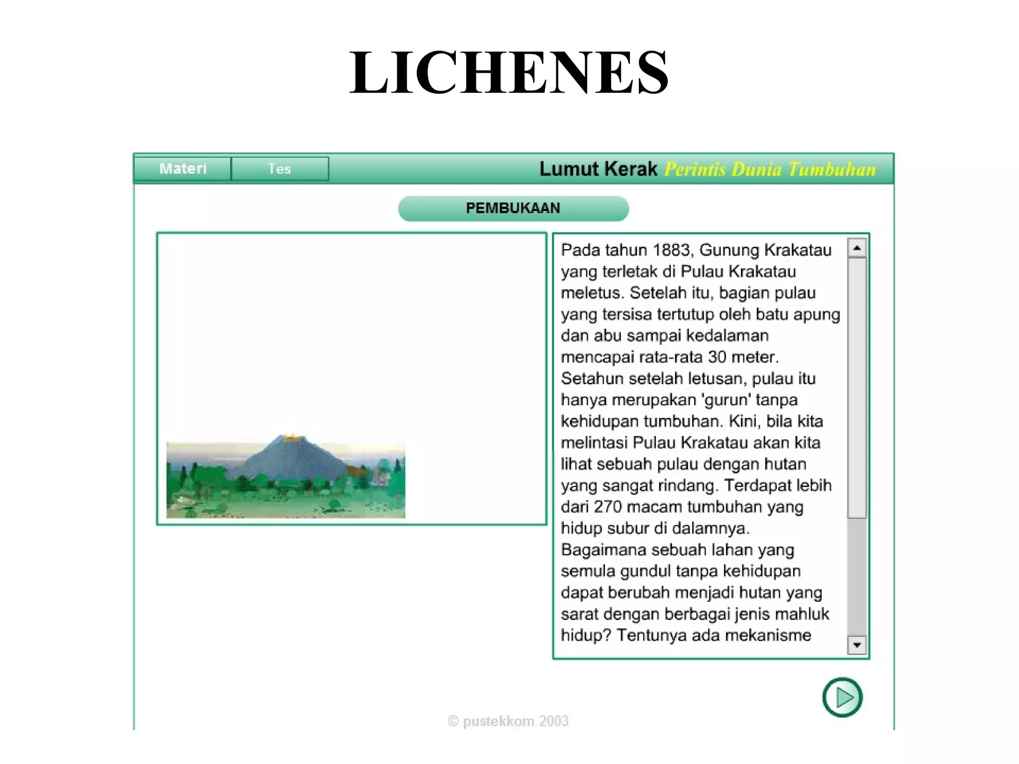 LICHENES
 