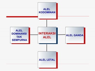 bab5HereditasPakAnwar.heredity human animals ppt | PPT