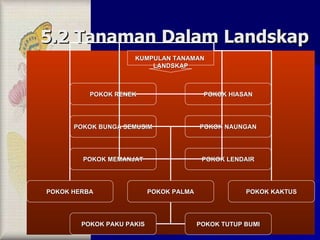 5.2 Tanaman Dalam Landskap KUMPULAN TANAMAN  LANDSKAP POKOK HERBA POKOK PALMA POKOK KAKTUS POKOK RENEK POKOK HIASAN POKOK BUNGA SEMUSIM POKOK NAUNGAN POKOK MEMANJAT POKOK LENDAIR POKOK PAKU PAKIS POKOK TUTUP BUMI 