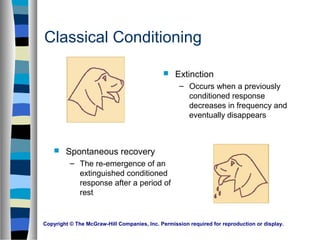 Copyright © The McGraw-Hill Companies, Inc. Permission required for reproduction or display.
Classical Conditioning
 Extinction
– Occurs when a previously
conditioned response
decreases in frequency and
eventually disappears
 Spontaneous recovery
– The re-emergence of an
extinguished conditioned
response after a period of
rest
 