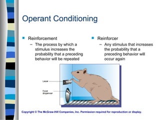 Copyright © The McGraw-Hill Companies, Inc. Permission required for reproduction or display.
Operant Conditioning
 Reinforcement
– The process by which a
stimulus increases the
probability that a preceding
behavior will be repeated
 Reinforcer
– Any stimulus that increases
the probability that a
preceding behavior will
occur again
 