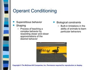 Copyright © The McGraw-Hill Companies, Inc. Permission required for reproduction or display.
 Superstitious behavior
 Shaping
– Process of teaching a
complex behavior by
rewarding closer and closer
approximations of the
desired behavior
 Biological constraints
– Built-in limitations in the
ability of animals to learn
particular behaviors
Operant Conditioning
 