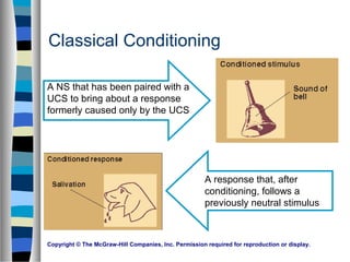 Copyright © The McGraw-Hill Companies, Inc. Permission required for reproduction or display.
Classical Conditioning
A NS that has been paired with a
UCS to bring about a response
formerly caused only by the UCS
A response that, after
conditioning, follows a
previously neutral stimulus
 