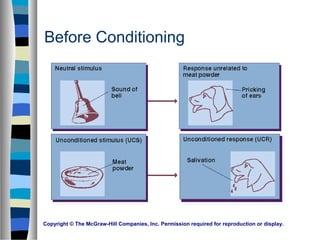 Copyright © The McGraw-Hill Companies, Inc. Permission required for reproduction or display.
Before Conditioning
 