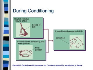 Copyright © The McGraw-Hill Companies, Inc. Permission required for reproduction or display.
During Conditioning
 