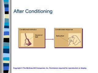 Copyright © The McGraw-Hill Companies, Inc. Permission required for reproduction or display.
After Conditioning
 