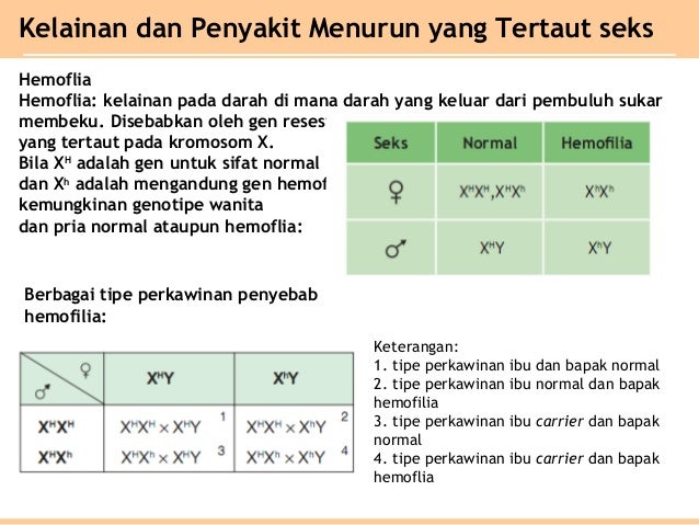 Bab 5 Pola Pola Hereditas Kelas Xii Sma Ipa