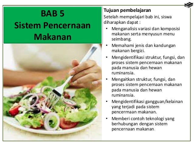 Bab 5 Sistem Pencernaan Makanan