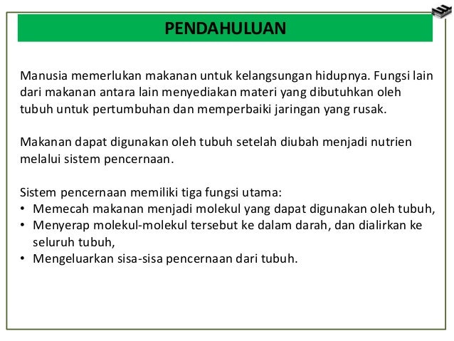 Bab 5 Sistem Pencernaan Makanan