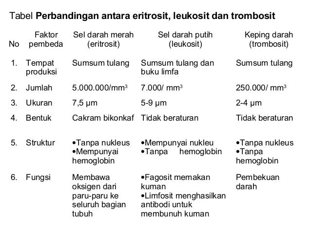 Bab 5 sistem peredaran darah manusia