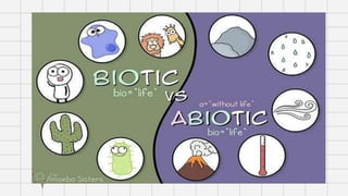 Biotik
Berdasarkan perannya dalam lingkungan komponen biotik dibagi
menjadi:
1. Produsen = Merupakan makhluk hidup autotro...