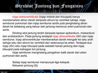 Injap bab6-anatomifisiologi2-140717003356-phpapp01.pdf