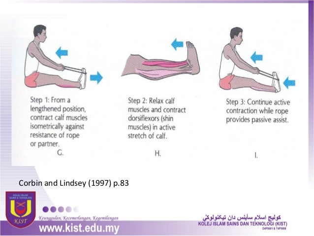 Bab 6 Fleksibiliti Dan Kecergasan