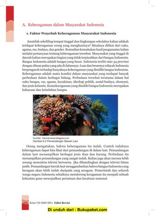 Kelas VII SMP/MTs Edisi Revisi106
A. 	Keberagaman dalam Masyarakat Indonesia
1. Faktor Penyebab Keberagaman Masyarakat Indonesia
Amatilah sekeliling tempat tinggal dan lingkungan sekolahm kalian adakah
terdapat keberagaman orang yang menghuninya? Misalnya dilihat dari suku,
agama, ras, budaya, dan gender. Kemudian kemukakan hasil pengamatan kalian
melalui pertanyaan tentang keberagaman tersebut. Masyarakat yang tinggal di
daerah kalian merupakan bagian yang tidak terpisahkan dari bangsa Indonesia.
Bangsa Indonesia adalah bangsa yang besar. Indonesia terdiri atas 34 provinsi
denganribuanpulauyangadadidalamnya.LuasdanbesarnyawilayahIndonesia
berpengaruh terhadap banyaknya keberagaman yang dimiliki bangsa Indonesia.
Keberagaman adalah suatu kondisi dalam masyarakat yang terdapat banyak
perbedaan dalam berbagai bidang. Perbedaan tersebut terutama dalam hal
suku bangsa, ras, agama, keyakinan, ideologi politik, sosial-budaya, ekonomi,
dan jenis kelamin. Keanekaragaman yang dimiliki bangsa Indonesia merupakan
kekayaan dan keindahan bangsa.
Orang mengatakan, bahwa keberagaman itu indah. Contoh indahnya
keberagaman dapat kita lihat dari pemandangan di dalam laut. Pemandangan
dalam laut menampilkan berbagai jenis ikan dan karang. Perbedaan itu
menampilkan pemandangan yang sangat indah. Kalian juga akan merasa lebih
senang menonton televisi berwarna jika dibandingkan dengan televisi hitam
putih. Pemandangan bawah laut menggambarkan bahwa bangsa Indonesia yang
beragam akan lebih indah daripada yang seragam. Pemerintah dan seluruh
warga negara Indonesia sebaiknya mendorong keragaman itu menjadi sebuah
kekuatan guna mewujudkan persatuan dan kesatuan nasional.
Sumber: fotoindonesia.blogspot.com
Gambar 6.2 Pemandangan Bawah Laut
Di unduh dari : Bukupaket.com
 