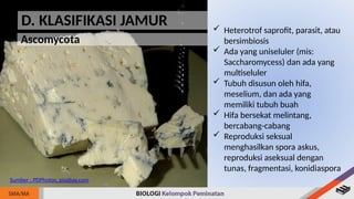 Jamur Multiseluler Biologi Kelas 10 BAB 6 Jamur (Fungi).pptx
