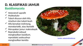 Jamur Multiseluler Biologi Kelas 10 BAB 6 Jamur (Fungi).pptx